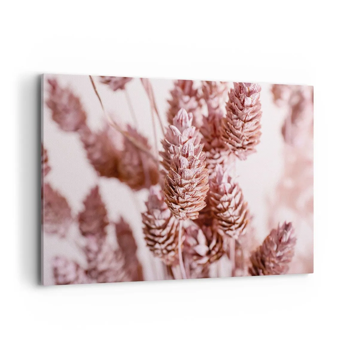 Cuadro sobre lienzo - Impresión de Imagen - Un primer plano de las delicadas espigas rosadas de las hierbas ornamentales. - 100x70cm - Aparentemente discreto - Decoración de pared moderna para salón y dormitorio ARTTOR