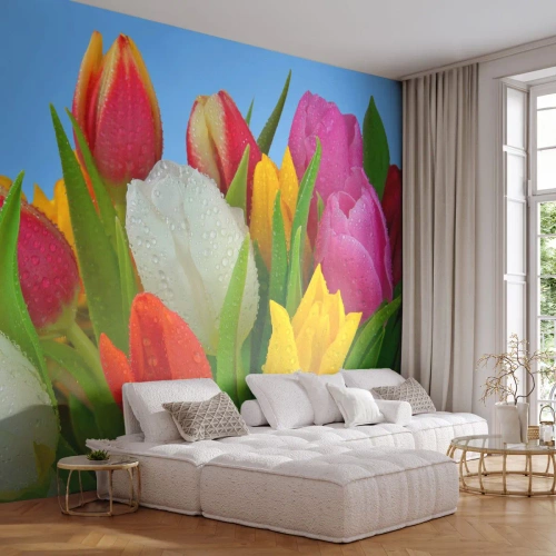 Fotomural Premium Canvas - Arco iris floral en gotas de rocío - tulipanes, flores, Ramo de flores - 450x315 cm