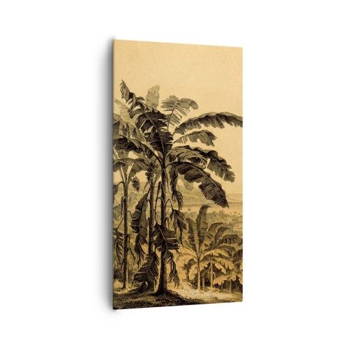 Cuadro sobre lienzo - Impresión de Imagen - En un ambiente colonial - 65x120 cm