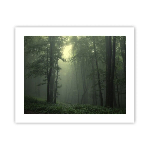 Póster - Antes de que se despierte el bosque - 50x40 cm
