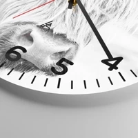 Esfera con numeración