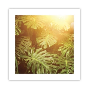 Póster - Hacia el verdor... - 40x40 cm