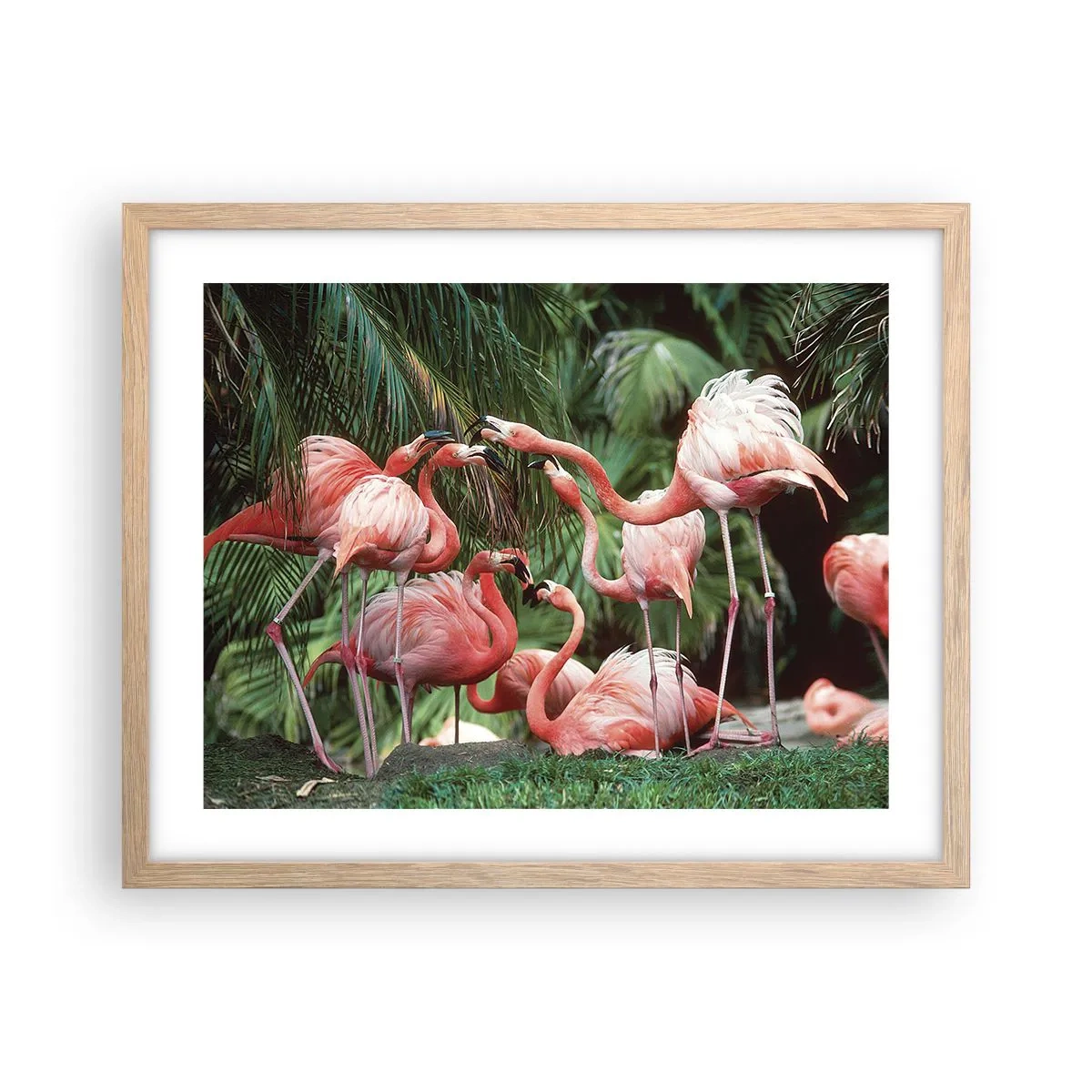 Póster en marco roble claro - Cotilleos de la tarde - 50x40 cm