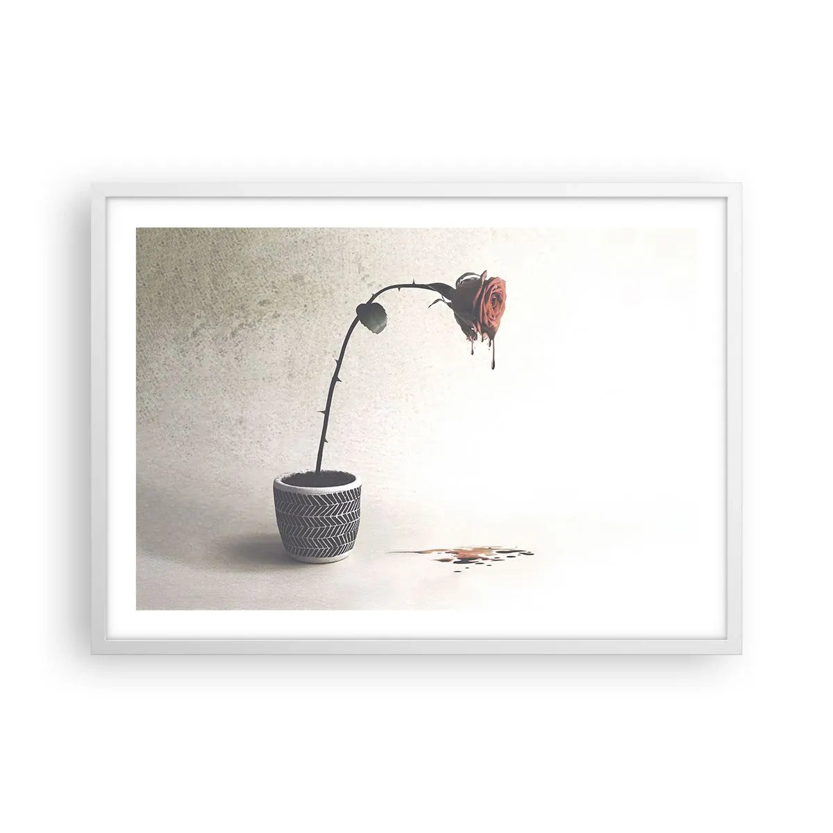 Póster en marco blanco - Rosa dolorosa - 70x50 cm