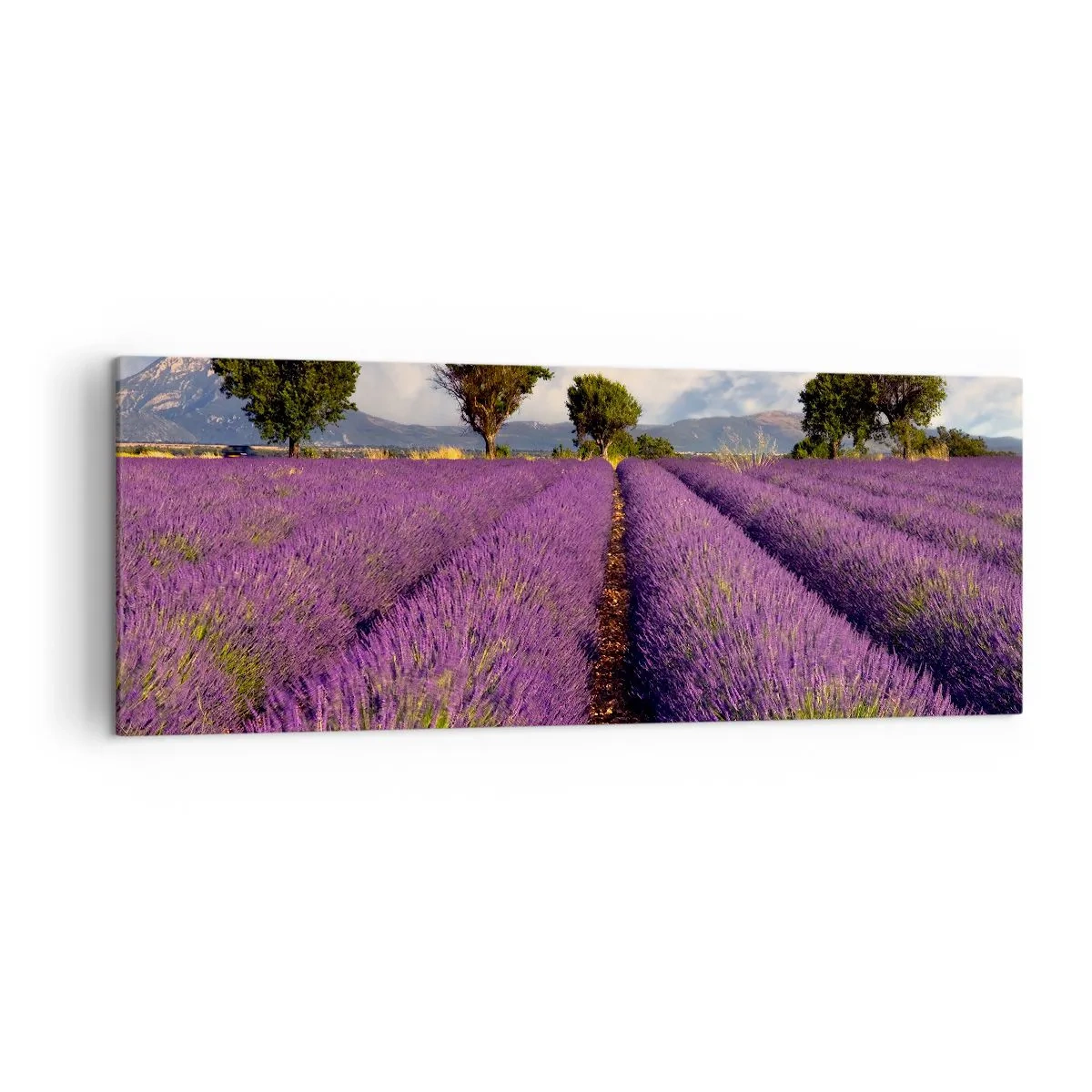 Cuadro sobre lienzo - Impresión de Imagen - Un campo de lavanda con árboles con el telón de fondo de montañas y cielo. - 140x50cm - Campos de lavanda - Decoración de pared moderna para salón y dormitorio ARTTOR