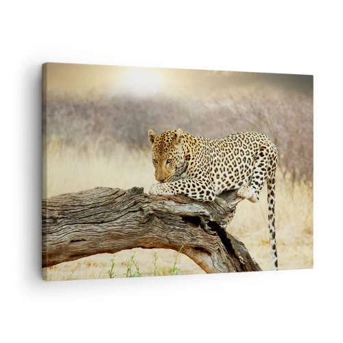 Cuadro sobre lienzo - Impresión de Imagen - Un leopardo descansando en el tronco de un árbol en la sabana. - 70x50cm - Voy por mi cuenta - Decoración de pared moderna para salón y dormitorio ARTTOR