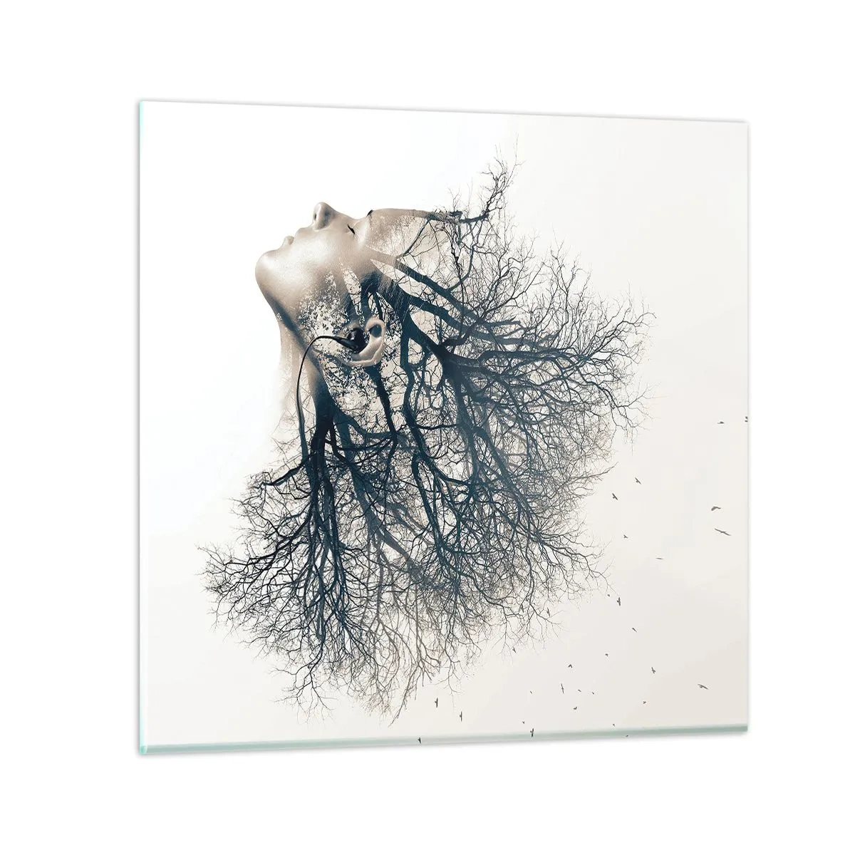 Cuadro sobre vidrio - Impresiones sobre Vidrio - Escuchando el susurro de un árbol - 50x50 cm