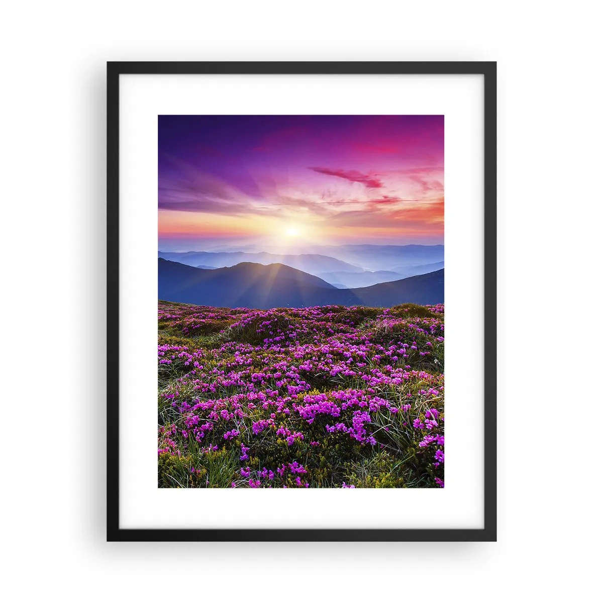 Póster en marco negro - Dulce aroma a frescura - 40x50 cm