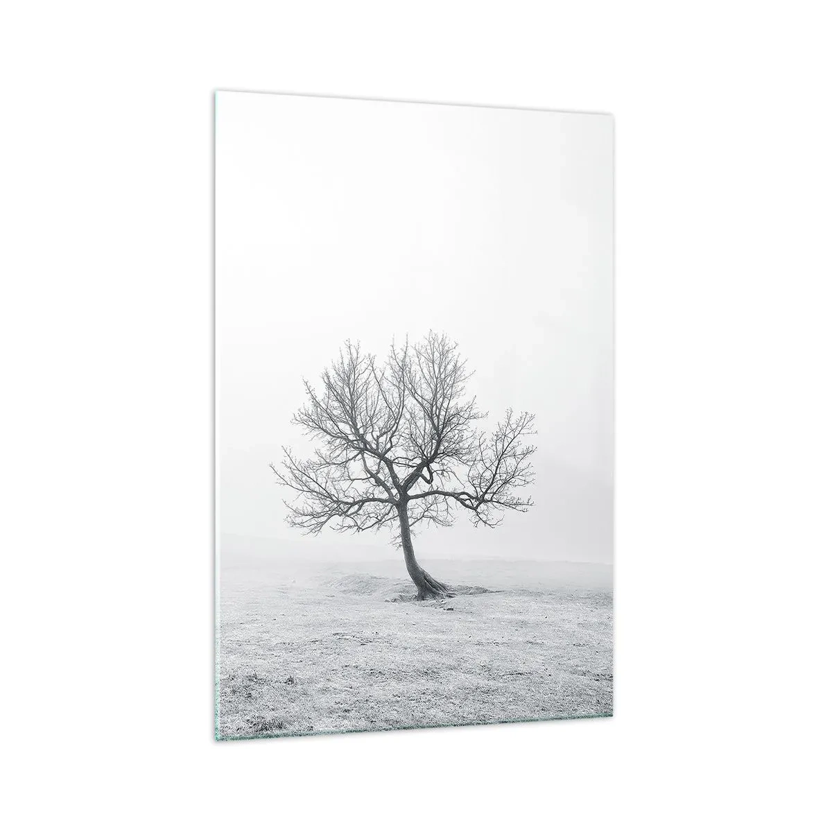 Cuadro sobre vidrio - Impresiones sobre Vidrio - Un árbol solitario en la niebla invernal en un campo vacío. - 70x100cm - Contra la nada - Decoración de pared moderna para salón y dormitorio ARTTOR