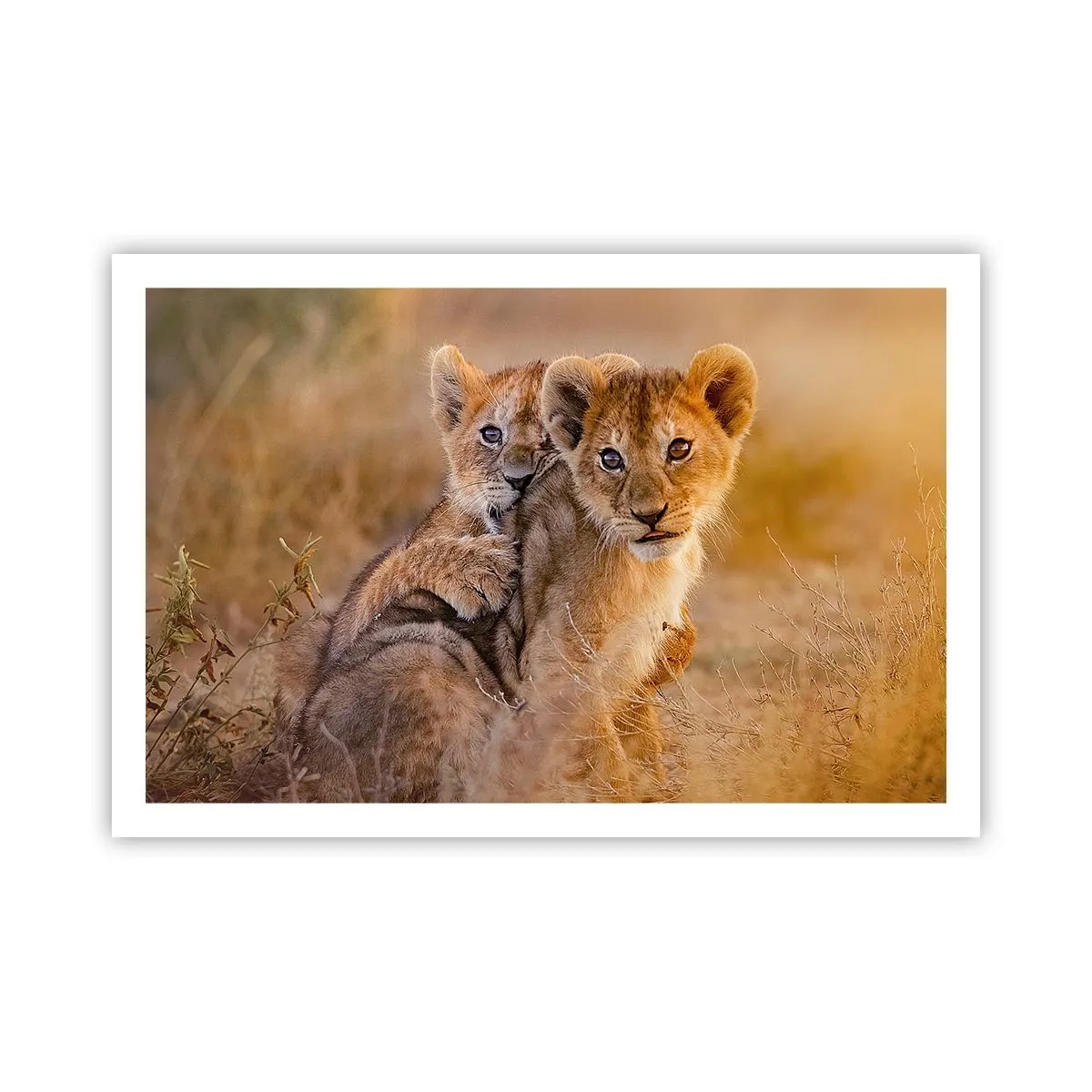 Póster - ¡No molestar! Nos estamos divirtiendo - 91x61 cm