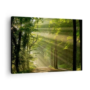 Cuadro sobre lienzo - Impresión de Imagen - Camino forestal con rayos de sol brillando a través de los árboles. - 70x50cm - Un momento en el bosque - Decoración de pared moderna para salón y dormitorio ARTTOR