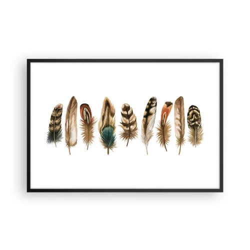Póster en marco negro - Estudio de plumas - 91x61 cm