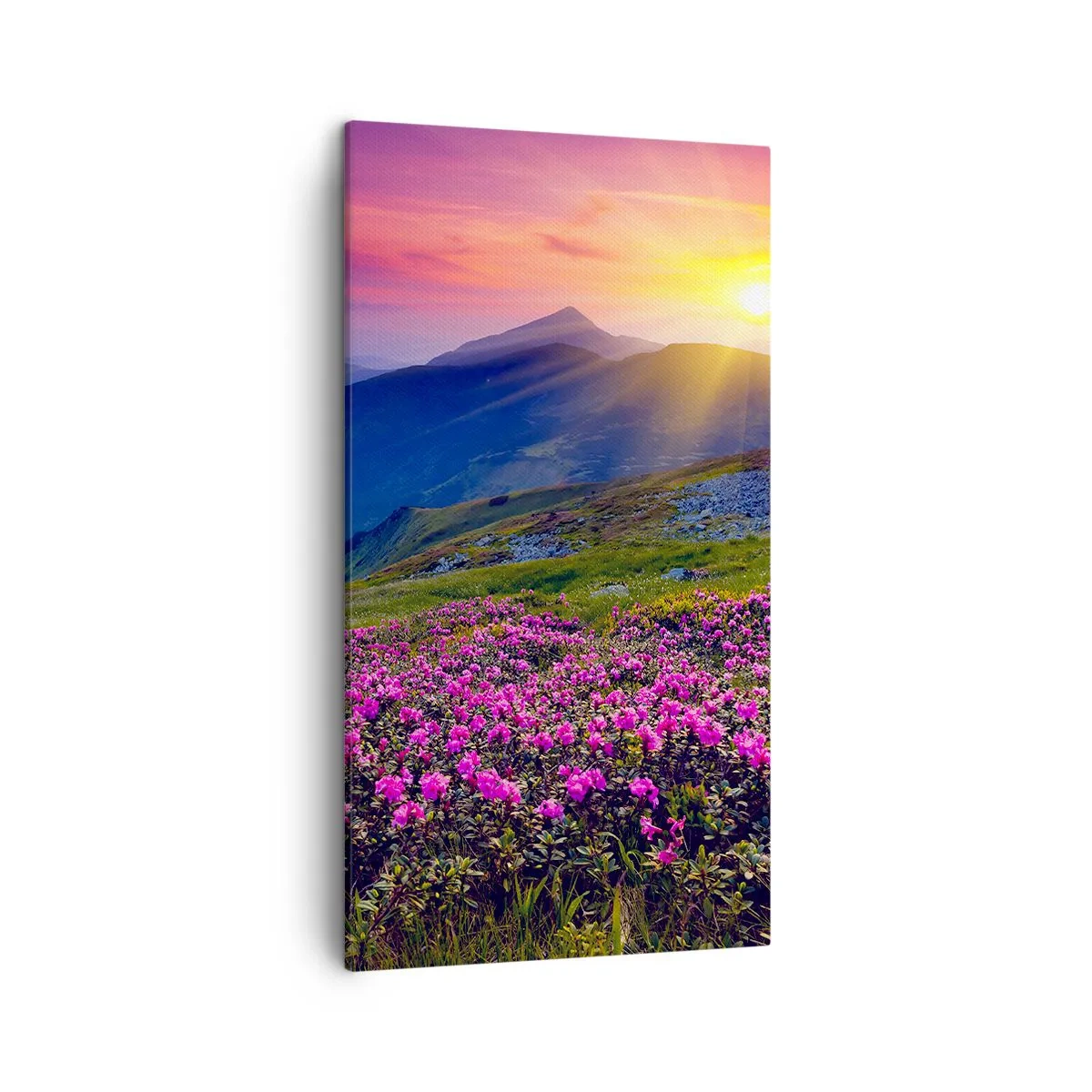 Cuadro sobre lienzo - Impresión de Imagen - ... Y el aroma a hierbas está por todas partes - 45x80 cm