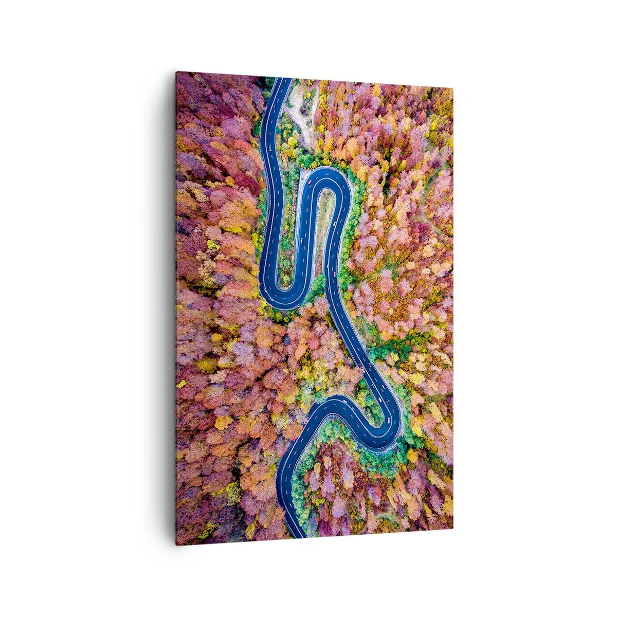 Cuadro sobre lienzo - Impresión de Imagen - Un camino sinuoso en un bosque otoñal visto a vista de pájaro - 80x120cm - Un camino sinuoso a través del bosque - Decoración de pared moderna para salón y dormitorio ARTTOR