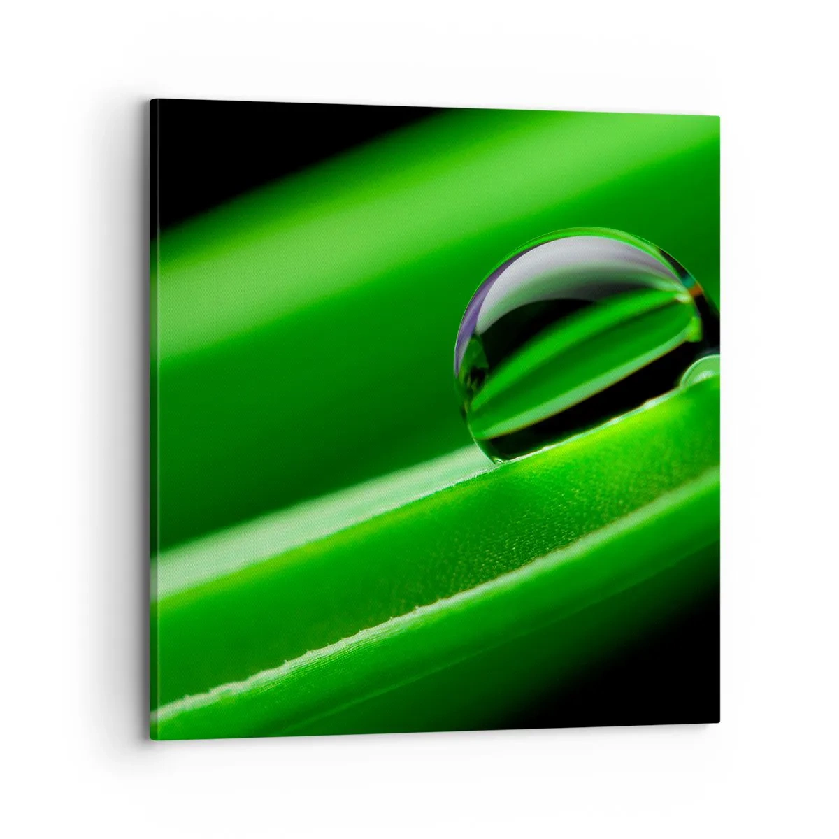 Cuadro sobre lienzo - Impresión de Imagen - La vida de cerca - 70x70 cm