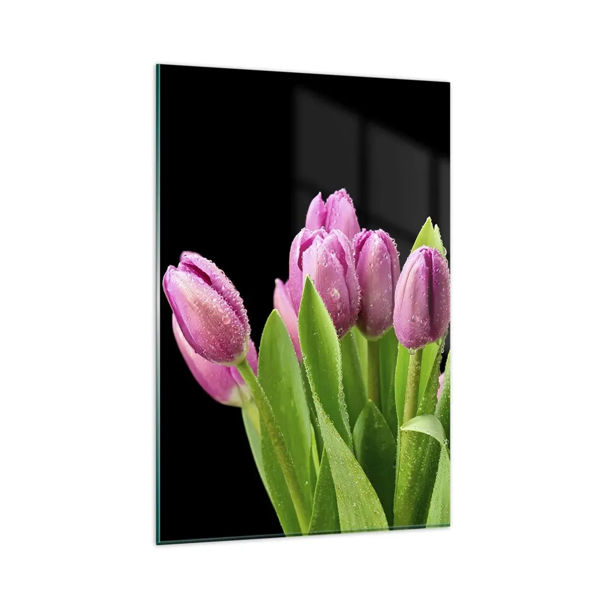 Cuadro sobre vidrio - Impresiones sobre Vidrio - Tulipanes rosados con gotas de rocío sobre un fondo negro - 80x120cm - La alegría de la primavera - Decoración de pared moderna para salón y dormitorio ARTTOR