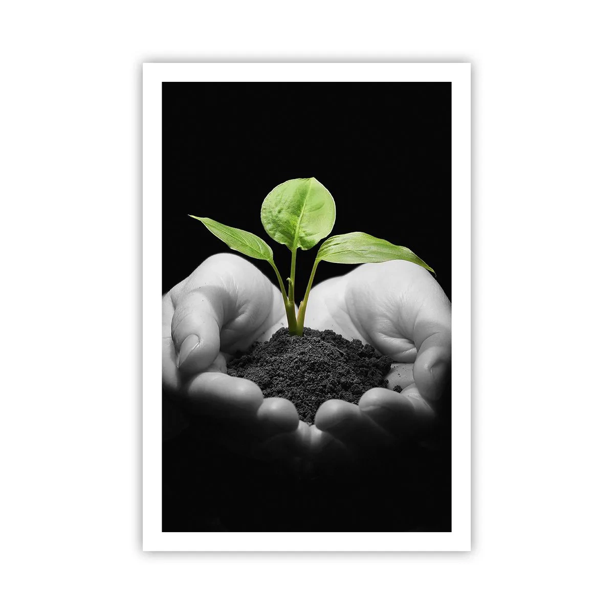 Póster - Amo la naturaleza, la protejo - 61x91 cm