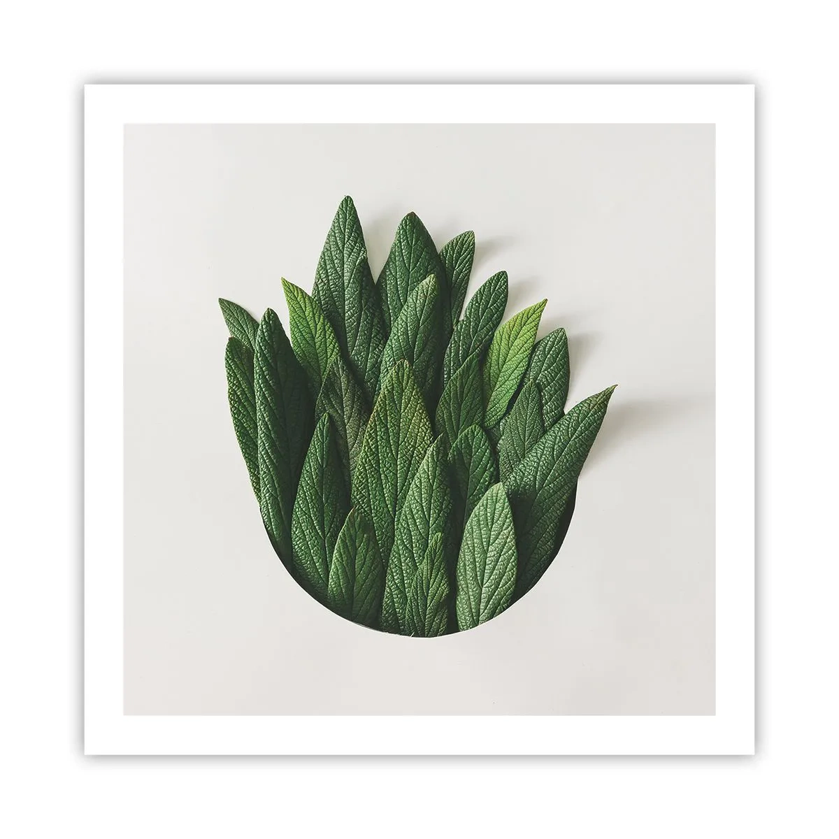 Póster - Curiosidad desenfrenada - 60x60 cm