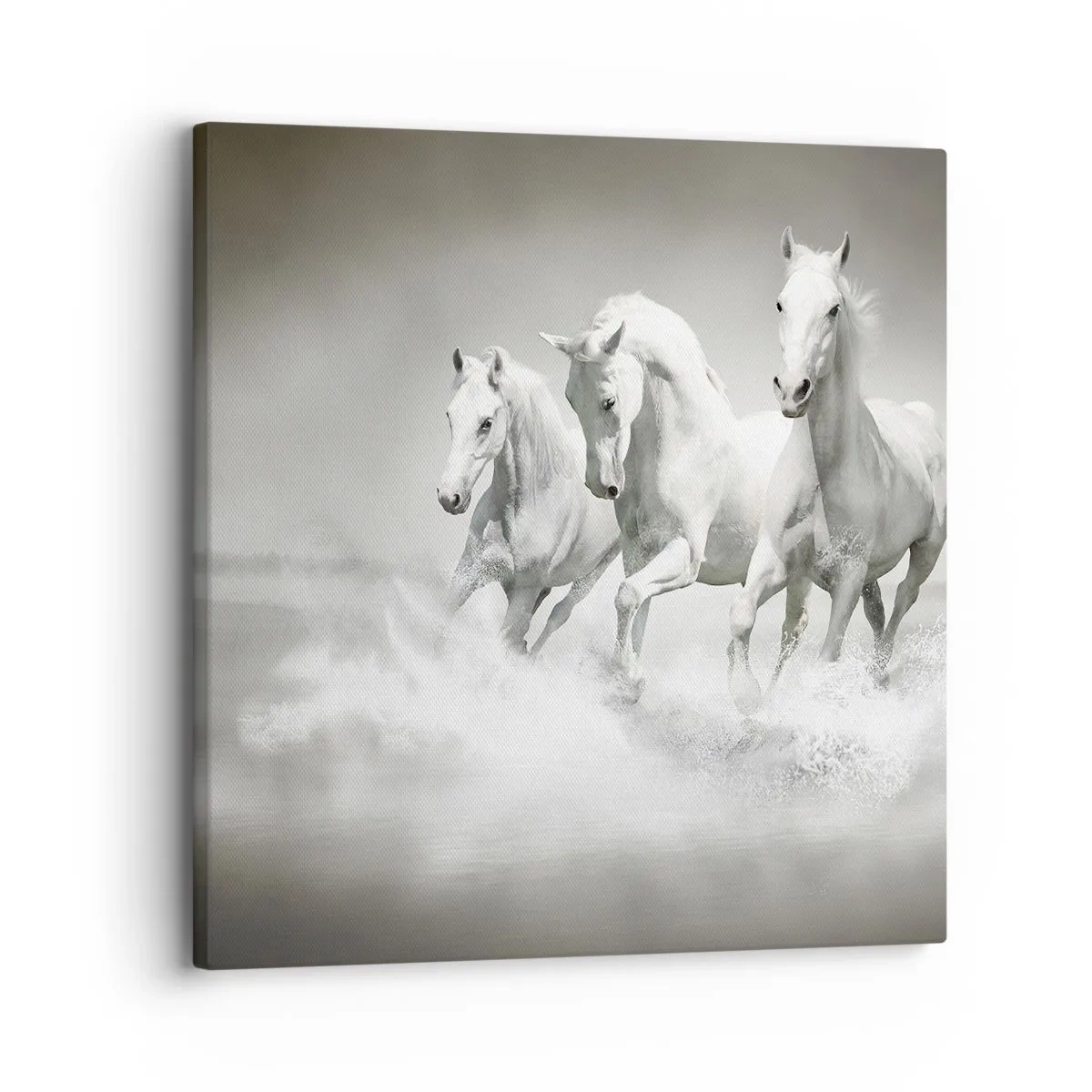 Cuadro sobre lienzo - Impresión de Imagen - Locura blanca - 30x30 cm