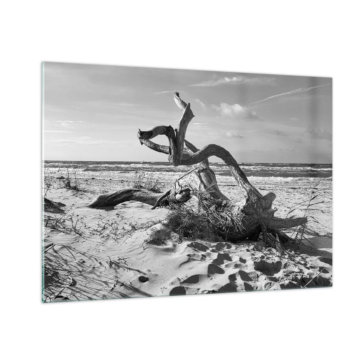 Cuadro sobre vidrio - Impresiones sobre Vidrio - Un paisaje en blanco y negro con una rama caída en una playa. - 100x70cm - Escultura marina - Decoración de pared moderna para salón y dormitorio ARTTOR