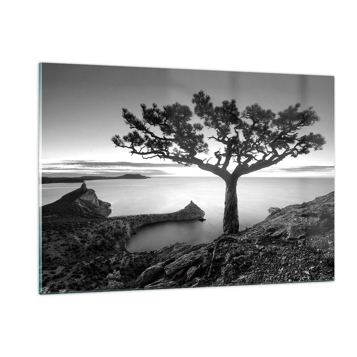 Cuadro sobre vidrio - Impresiones sobre Vidrio - Un árbol en un acantilado con vistas a la bahía. - 120x80cm - Calma hasta el horizonte - Decoración de pared moderna para salón y dormitorio ARTTOR