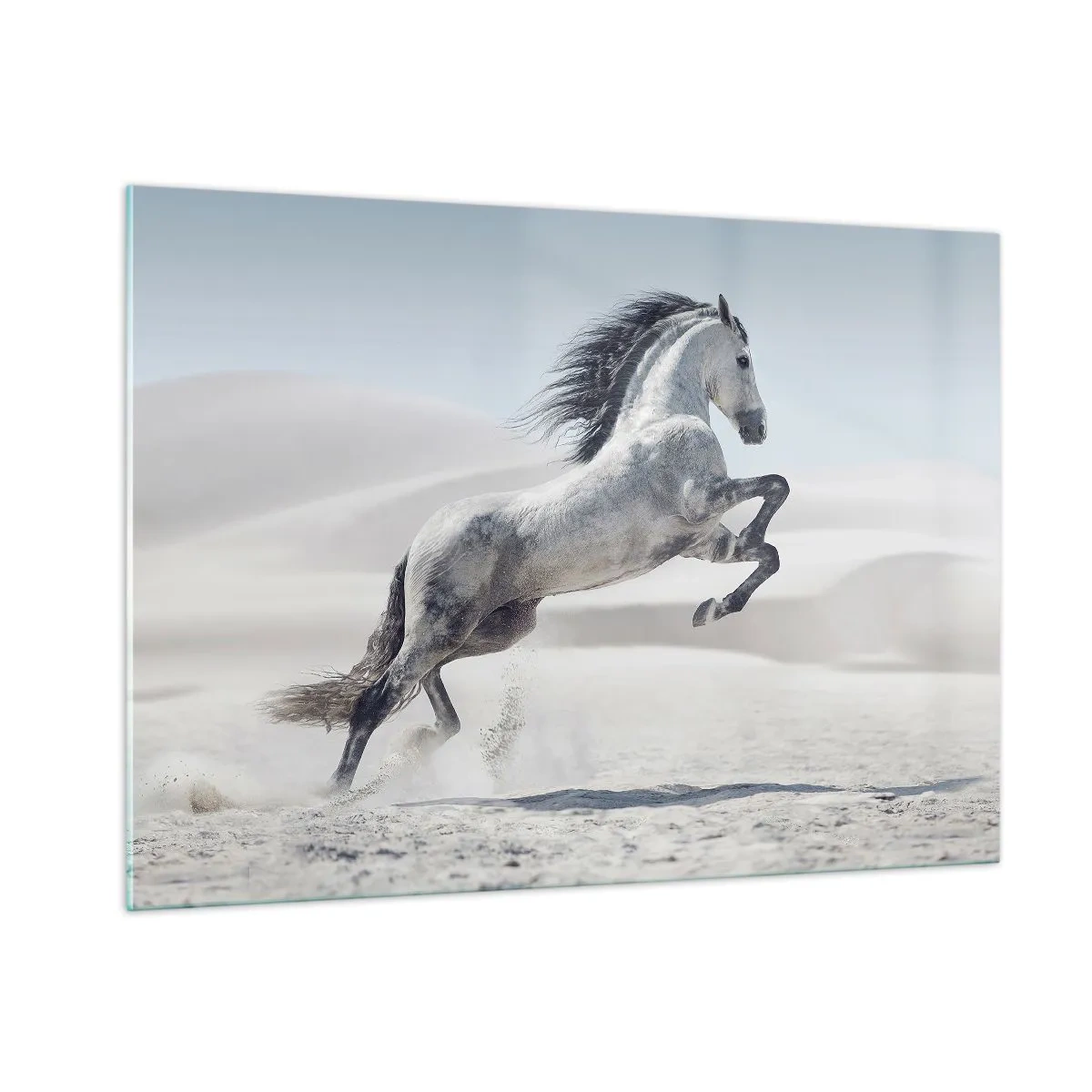 Cuadro sobre vidrio - Impresiones sobre Vidrio - Un caballo blanco saltando con el telón de fondo de las dunas del desierto. - 100x70cm - Un príncipe árabe - Decoración de pared moderna para salón y dormitorio ARTTOR