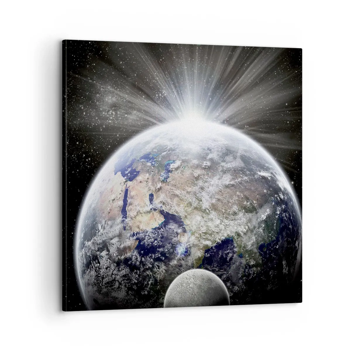 Cuadro sobre lienzo - Impresión de Imagen - En todo su esplendor - 60x60 cm