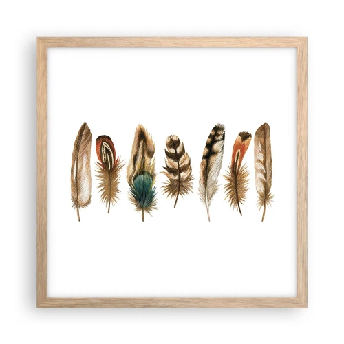 Póster en marco roble claro - Estudio de plumas - 40x40 cm