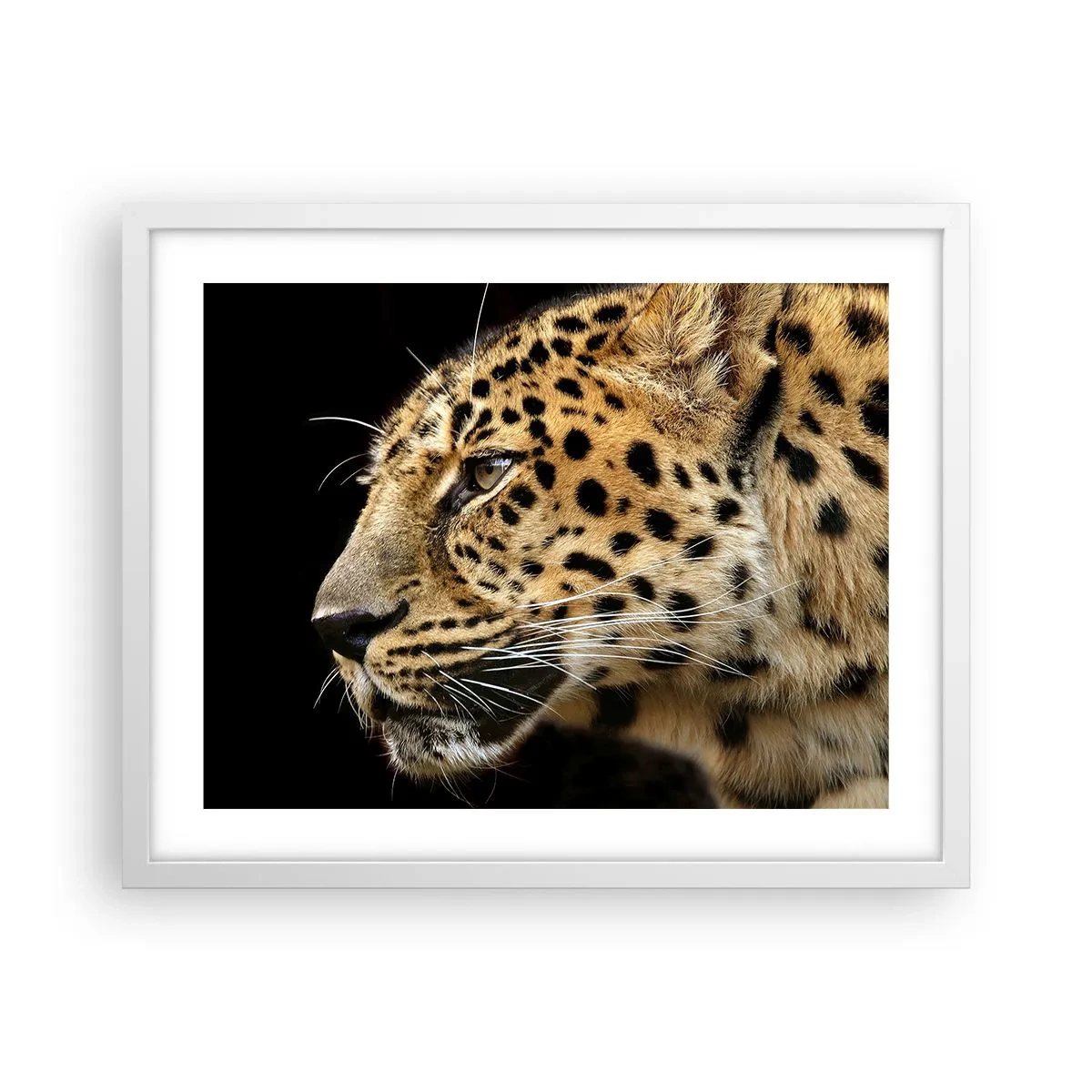 Póster en marco blanco - Tranquilo, concentrado, preparado - 50x40 cm