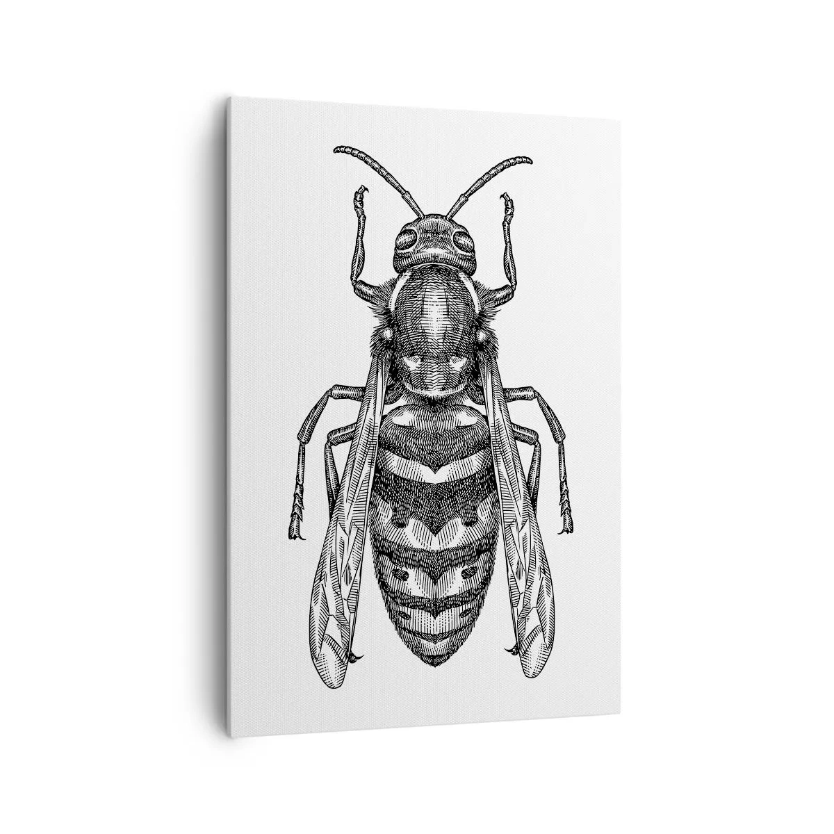 Cuadro sobre lienzo - Impresión de Imagen - Un motivo de avispa de dibujos animados sobre un fondo blanco en un estilo minimalista. - 70x100cm - Desde un planeta de insectos - Decoración de pared moderna para salón y dormitorio ARTTOR