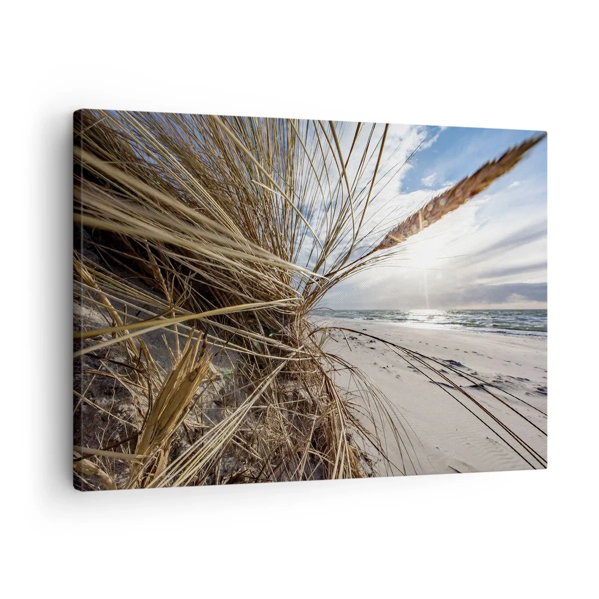 Cuadro sobre lienzo - Impresión de Imagen - Una playa con hierba seca en las dunas y vistas al mar. - 70x50cm - Una reunión de los elementos - Decoración de pared moderna para salón y dormitorio ARTTOR