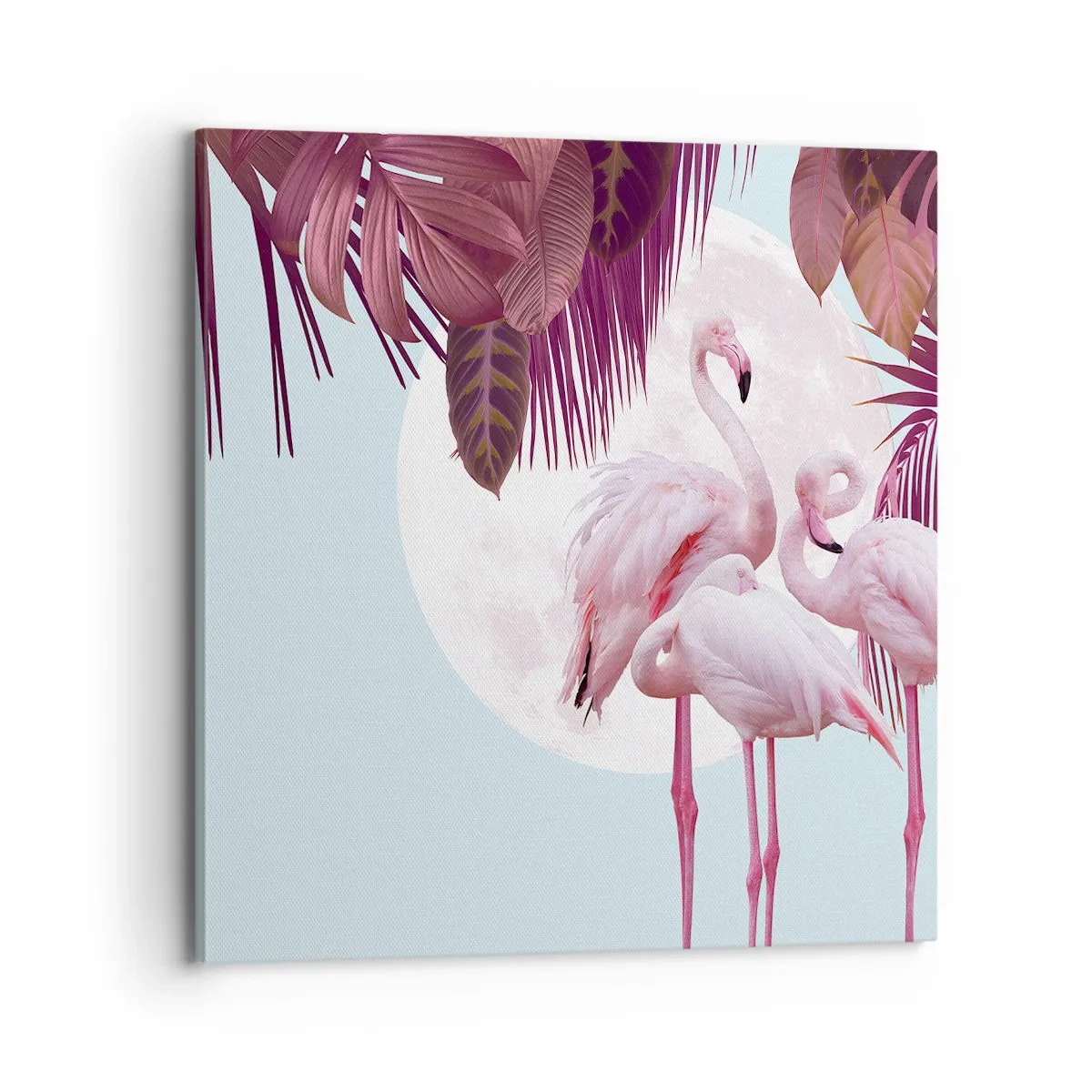 Cuadro sobre lienzo - Impresión de Imagen - La grandeza de las aves - 70x70 cm