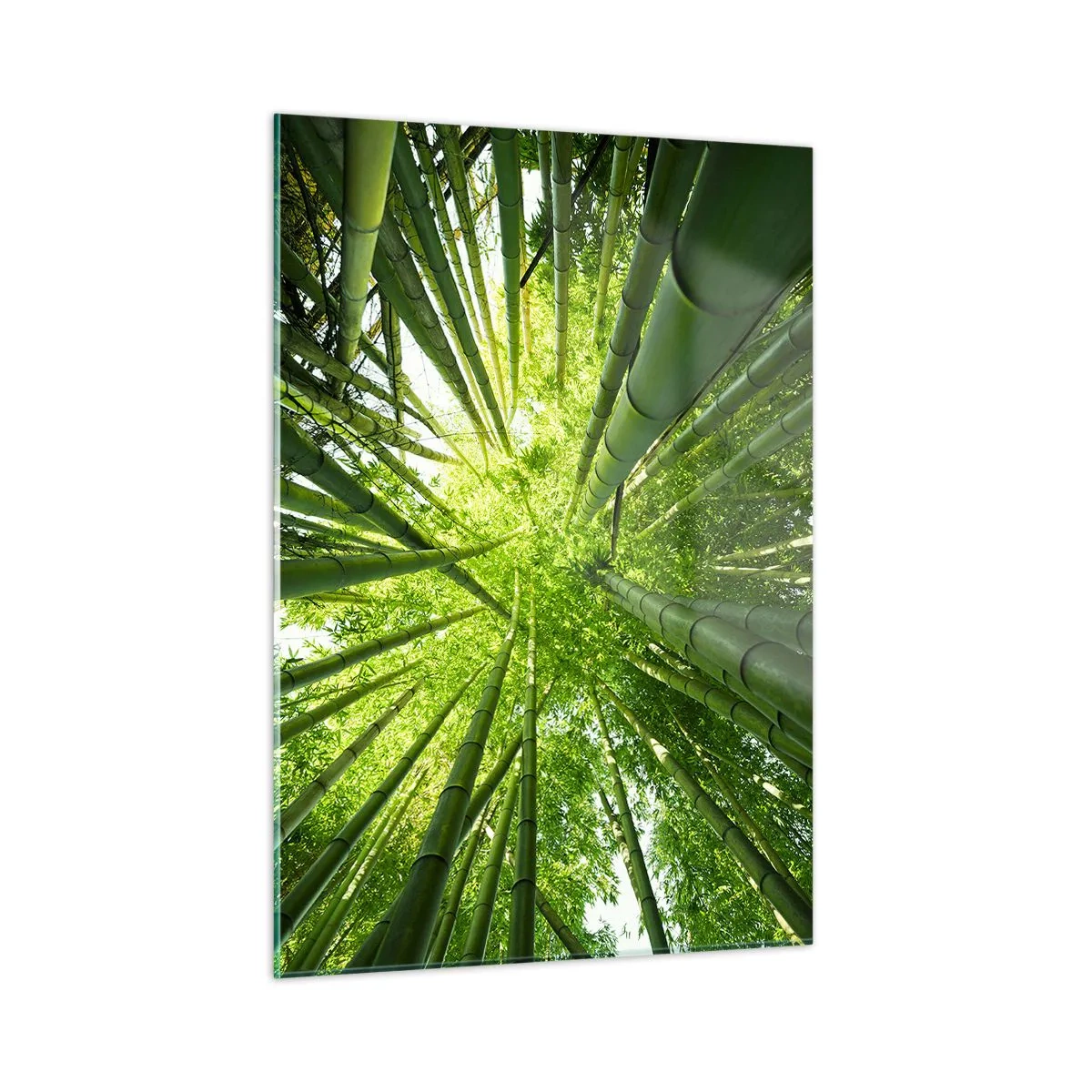 Cuadro sobre vidrio - Impresiones sobre Vidrio - Vista en perspectiva ascendente del bosque de bambú. - 50x70cm - En un bosquecillo de bambú - Decoración de pared moderna para salón y dormitorio ARTTOR