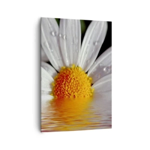 Cuadro sobre lienzo - Impresión de Imagen - Una margarita blanca con gotas de agua inmersas en un reflejo de agua. - 70x100cm - El sol naciente de una margarita - Decoración de pared moderna para salón y dormitorio ARTTOR