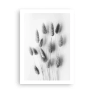 Póster - Espigas de hierba esponjosas de color blanco y negro - 50x70cm - Esponjas naturales - Decoración de pared moderna para salón y dormitorio ARTTOR