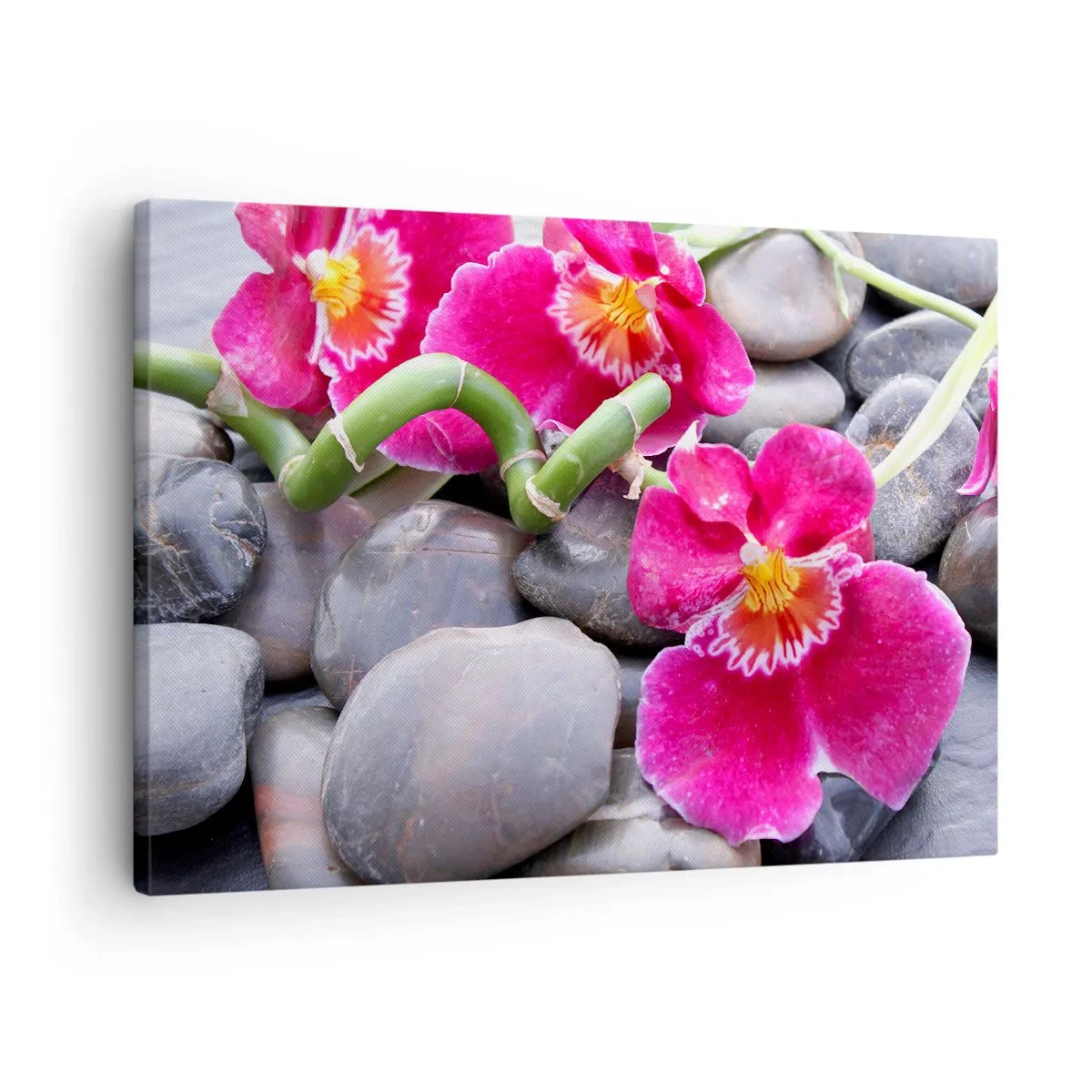 Cuadro sobre lienzo - Impresión de Imagen - Orquídeas rosas sobre un fondo de piedras lisas. - 70x50cm - Frío y calor - Decoración de pared moderna para salón y dormitorio ARTTOR
