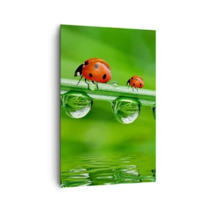 Cuadro sobre lienzo - Impresión de Imagen - Mariquitas sobre una brizna de hierba con gotas de rocío en un entorno natural. - 80x120cm - En el camino todo el verano - Decoración de pared moderna para salón y dormitorio ARTTOR