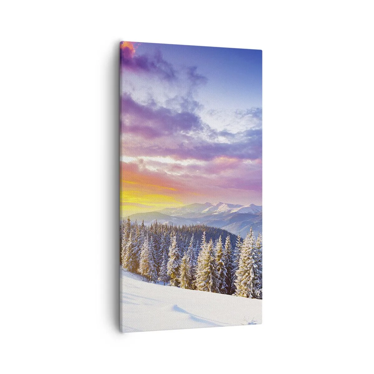 Cuadro sobre lienzo - Impresión de Imagen - Día blanco - 55x100 cm