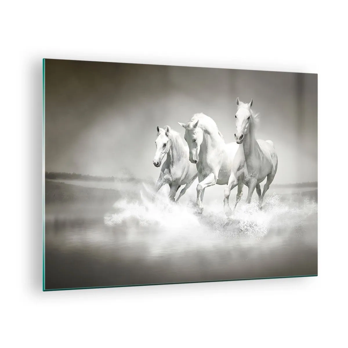 Cuadro sobre vidrio - Impresiones sobre Vidrio - Tres caballos blancos galopando por el agua - 70x50cm - Locura blanca - Decoración de pared moderna para salón y dormitorio ARTTOR