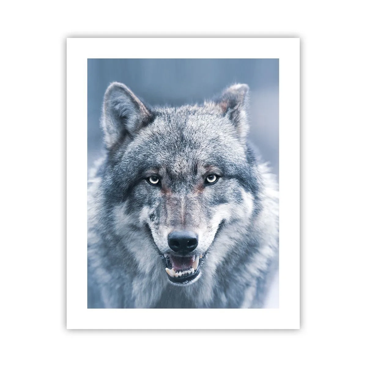 Póster - ¿Aceptarás el reto? - 40x50 cm