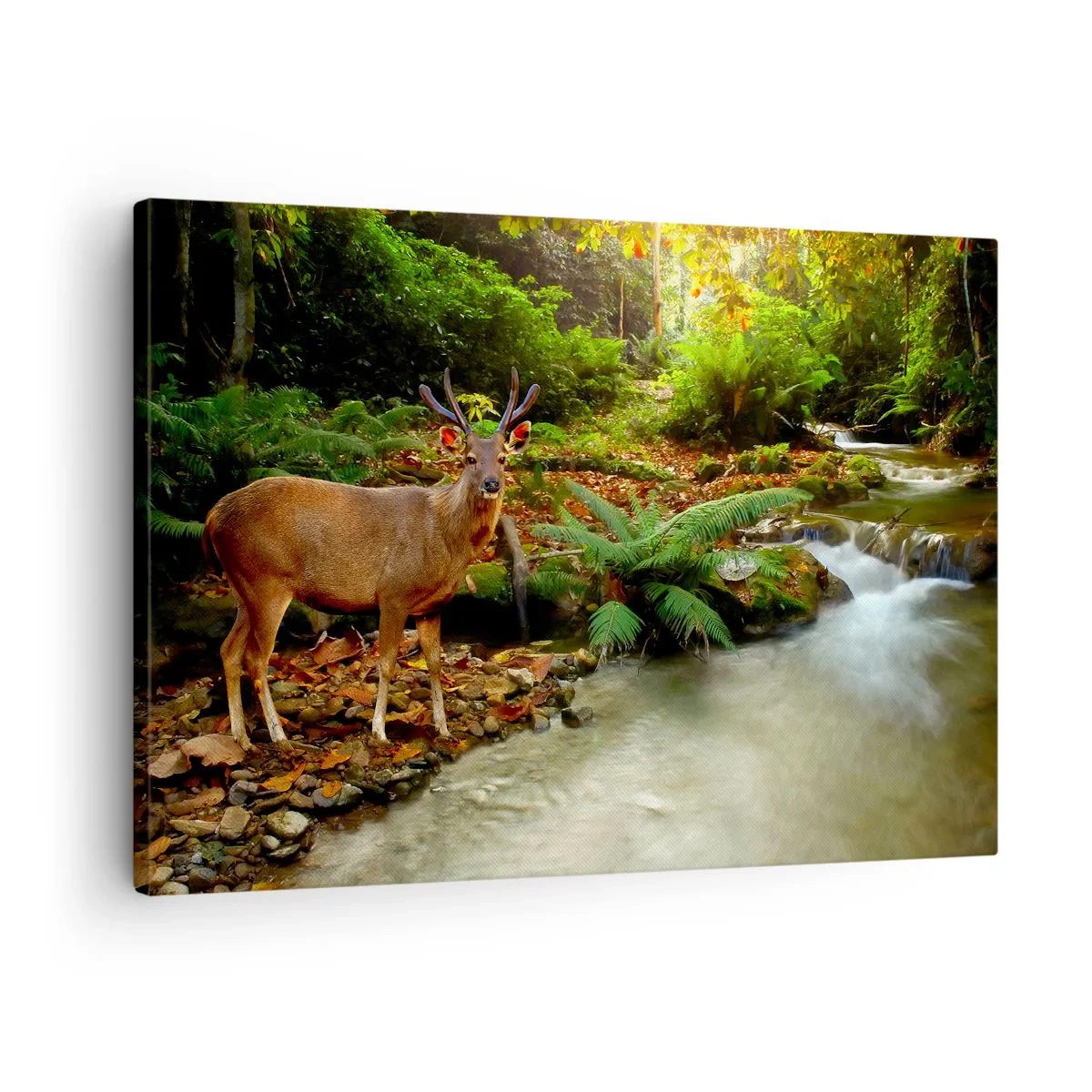 Cuadro sobre lienzo - Impresión de Imagen - Un ciervo junto a un arroyo rodeado de vegetación en el bosque. - 70x50cm - Bienvenido a mi mundo - Decoración de pared moderna para salón y dormitorio ARTTOR