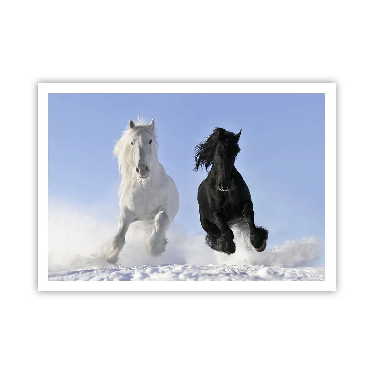 Póster - Un caballo blanco y uno negro galopando por la nieve. - 100x70cm - Galope blanco y negro - Decoración de pared moderna para salón y dormitorio ARTTOR
