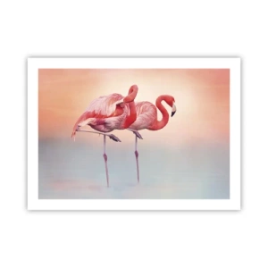 Póster - Elegancia bajo el sol de poniente - 70x50 cm