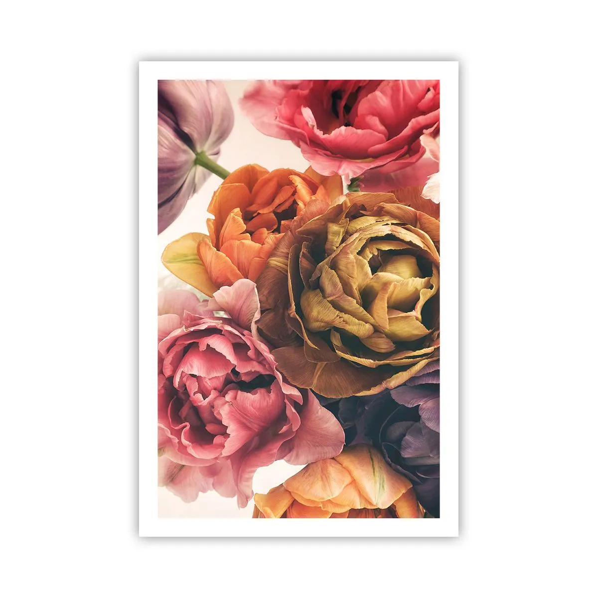 Póster - Celebración de la vida - 61x91 cm