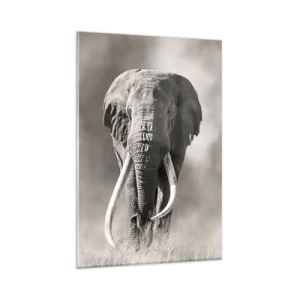 Cuadro sobre vidrio - Impresiones sobre Vidrio - Patriarca africano - 80x120 cm