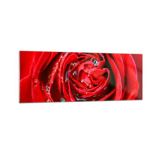 Cuadro sobre vidrio - Impresiones sobre Vidrio - Primer plano de una rosa roja con gotas de agua en los pétalos. - 140x50cm - En gotas de rocío - Decoración de pared moderna para salón y dormitorio ARTTOR