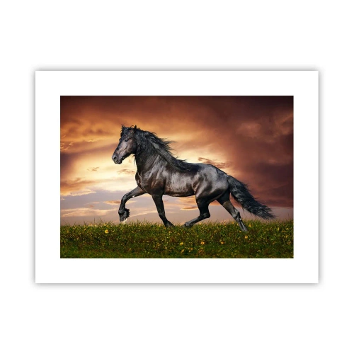 Póster - Príncipe negro - 40x30 cm