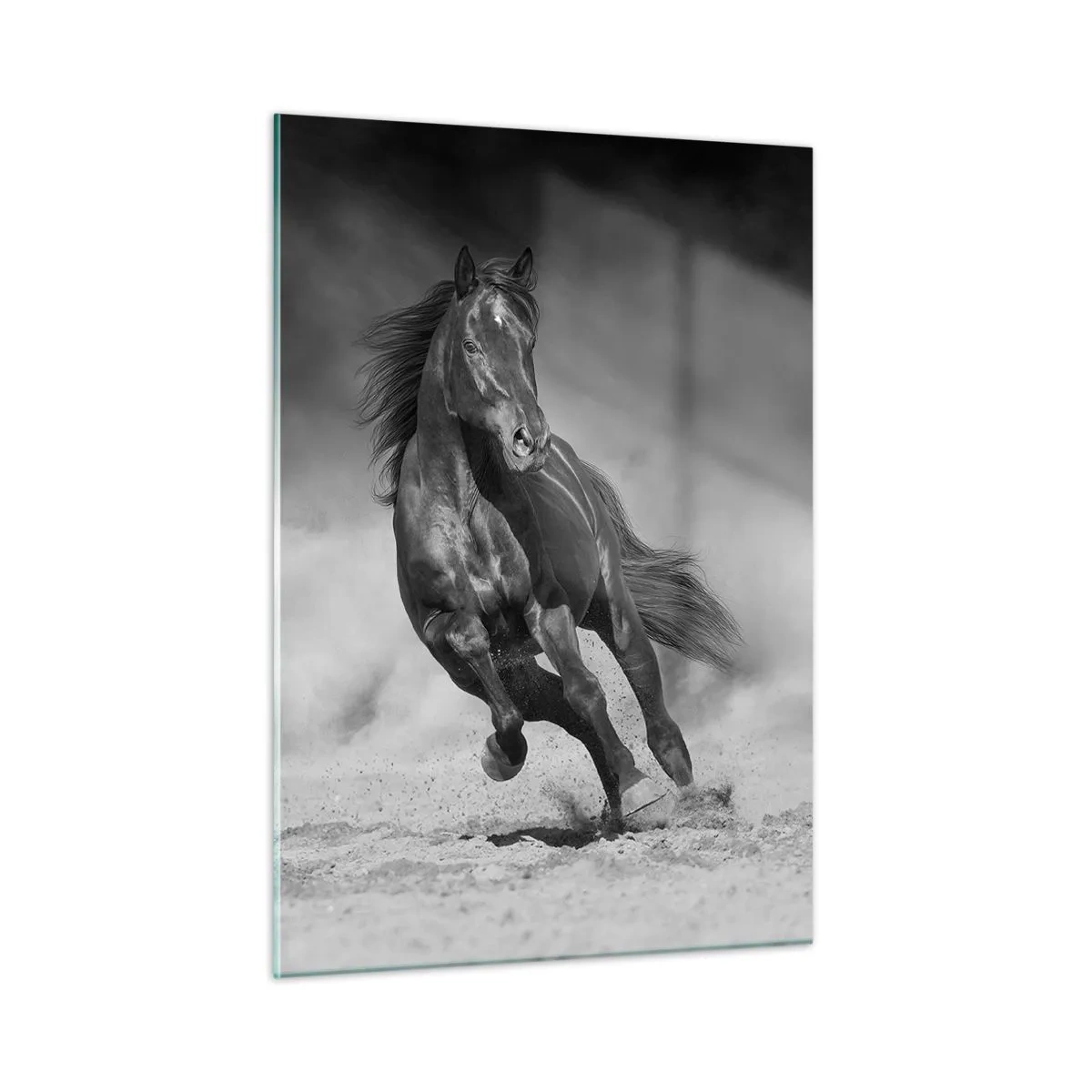 Cuadro sobre vidrio - Impresiones sobre Vidrio - Un caballo negro galopando sobre la arena en blanco y negro. - 50x70cm - Digno del propio emir - Decoración de pared moderna para salón y dormitorio ARTTOR