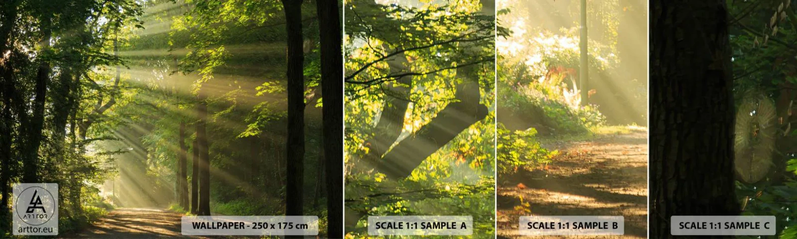 Muestra de fotomural autoadhesivo Deluxe Sticker - Un momento en el bosque - Paisaje, Bosque, Naturaleza - 100x30 cm