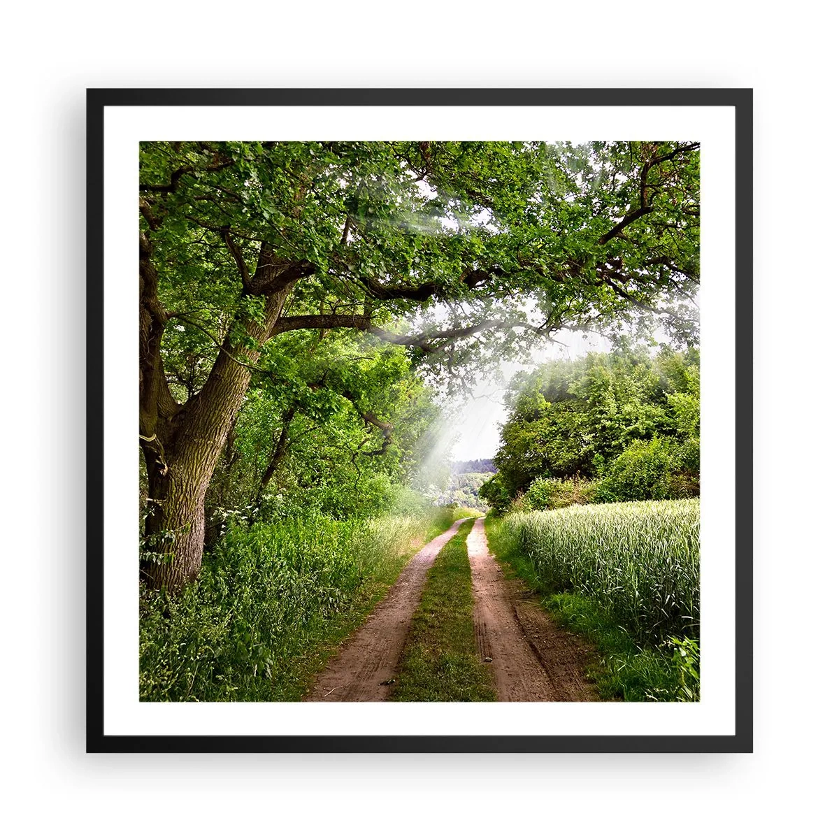 Póster en marco negro - Ensueño - 60x60 cm